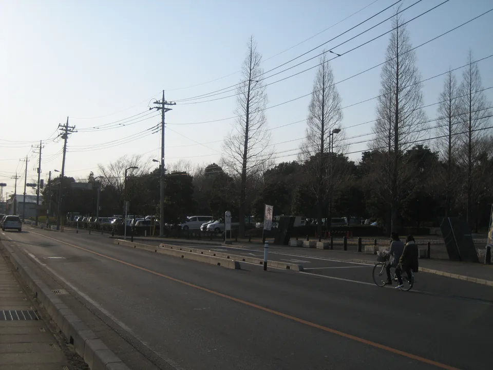 そうか公園入口側のメタセコイア並木