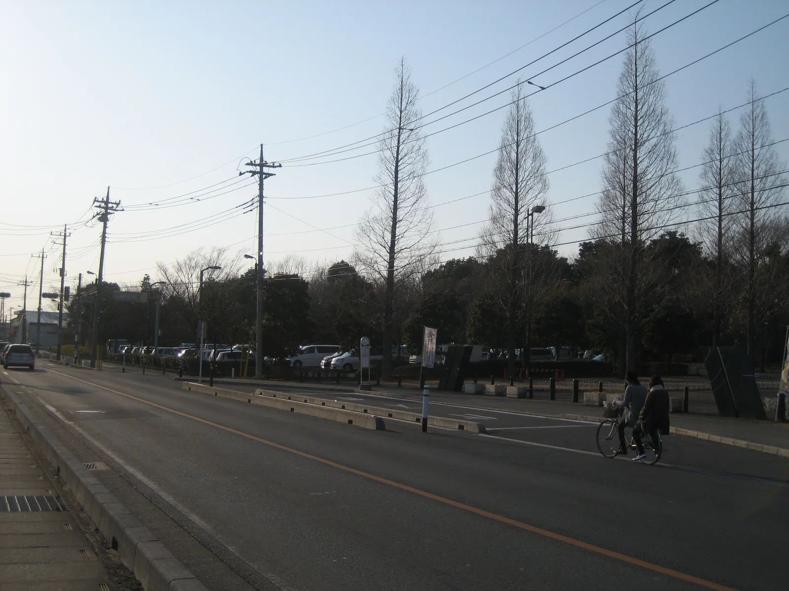 そうか公園入口側の並木