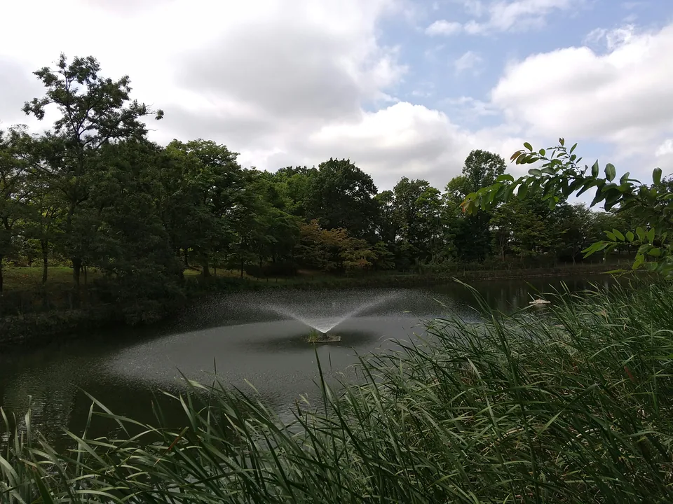 そうか公園の修景池と水辺の緑